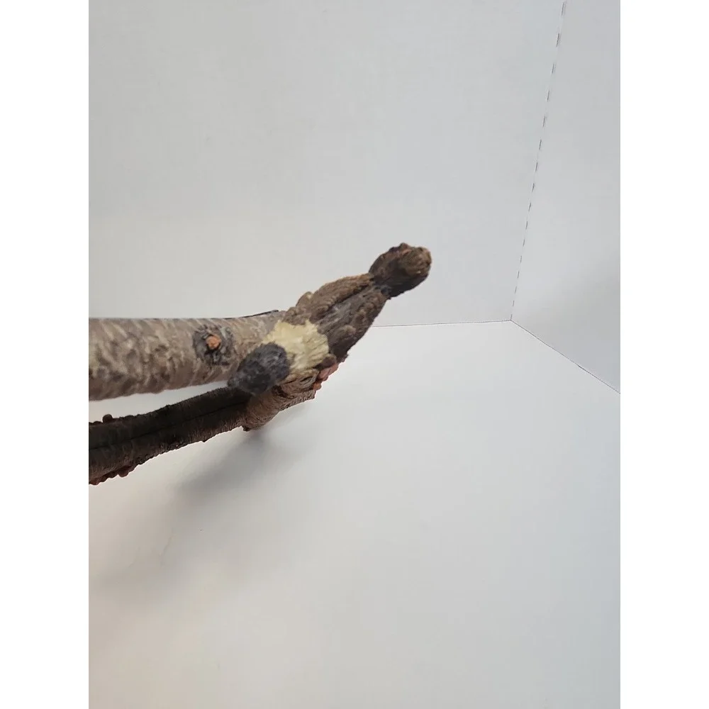 Faux Bois Tree Branch Bird Mirror 17
